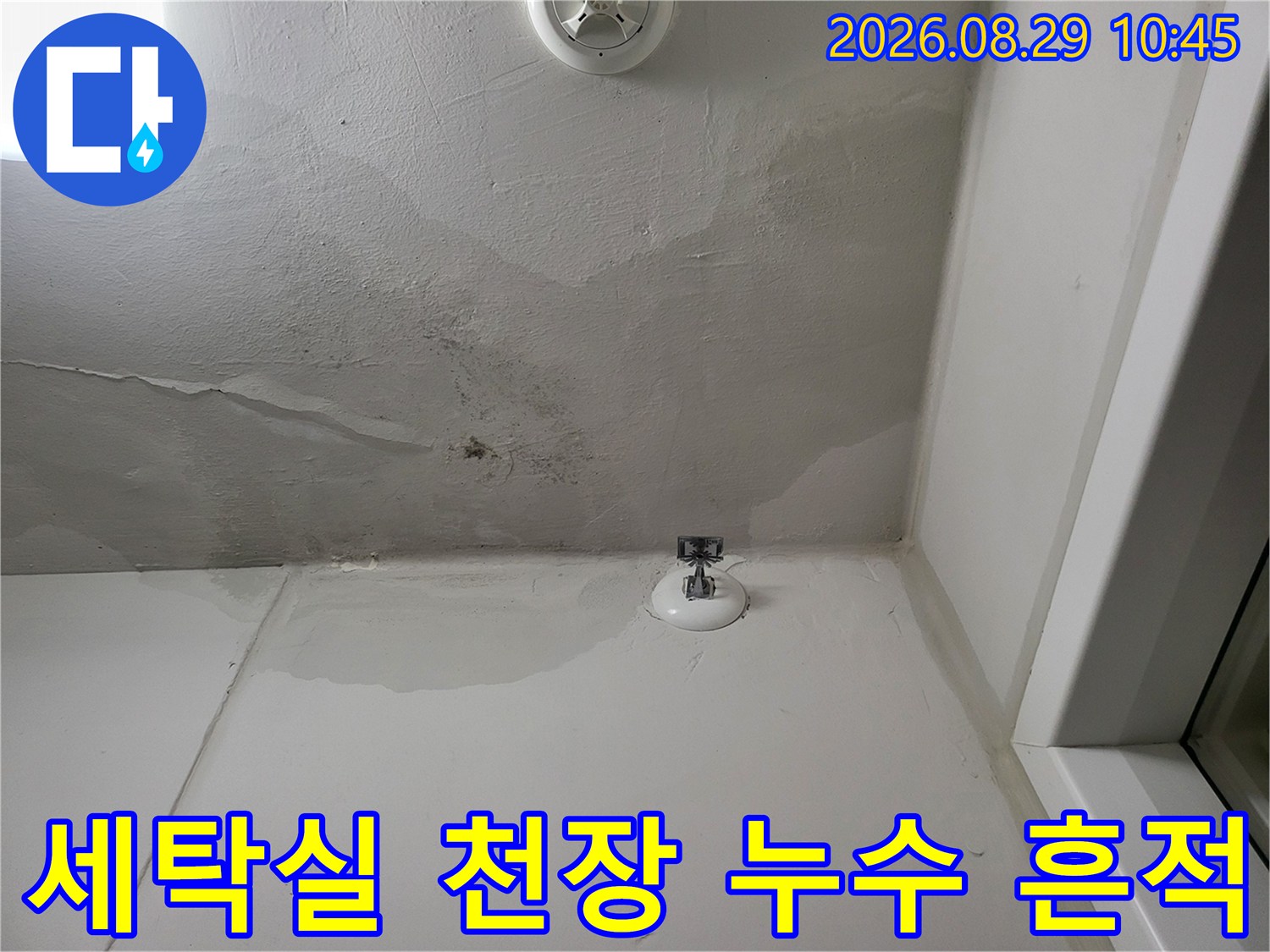 화성 산척동 아파트-세탁실 천장에 발생한 넓은 물자국과 변색된 벽면 상태