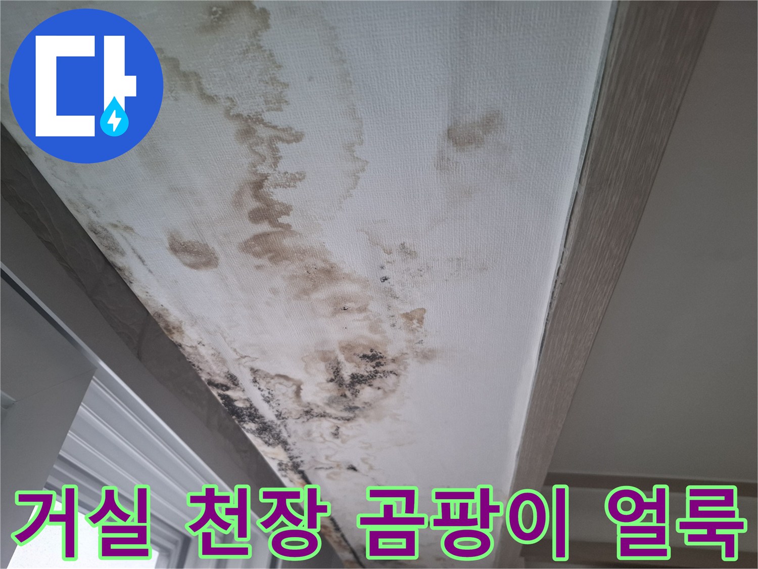 아파트 거실 창가 쪽 천장 벽지에 발생한 심한 물 얼겨과 곰팡이 상태