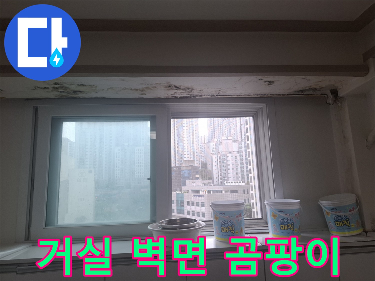 아파트 거실 창문 주변 천장 마감재에 피어난 검은색 곰팡이
