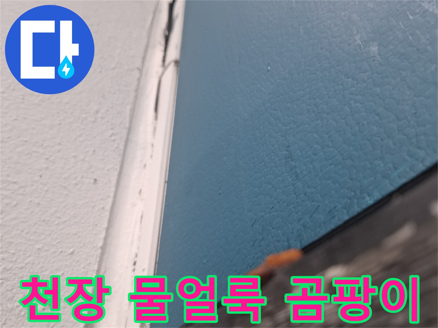 아현동 아파트-거실 천장 부위의 물 얼룩과 곰팡이 상태
