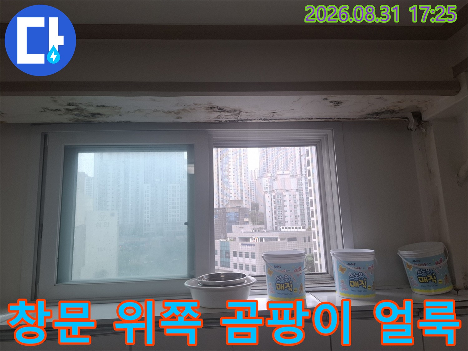 창가 천장 경계 부분에 발생한 검은색 곰팡이와 습기 자국
