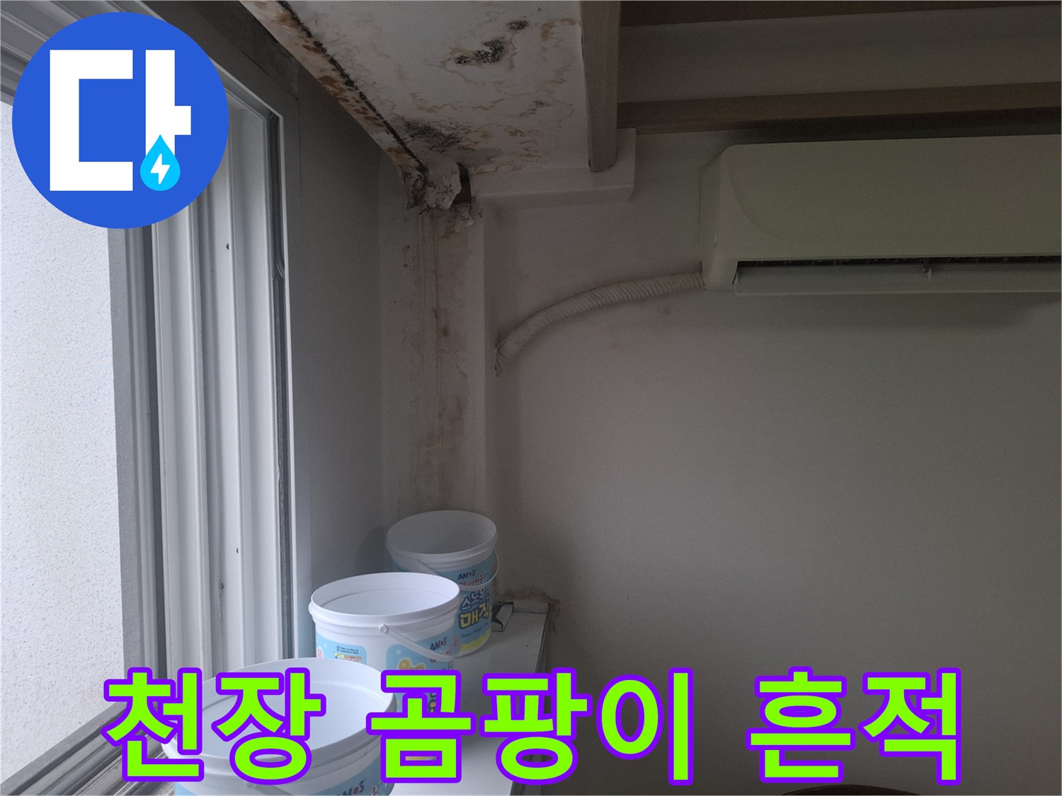 천장과 벽면 경계 부위에 발생한 젖은 얼룩 및 곰팡이