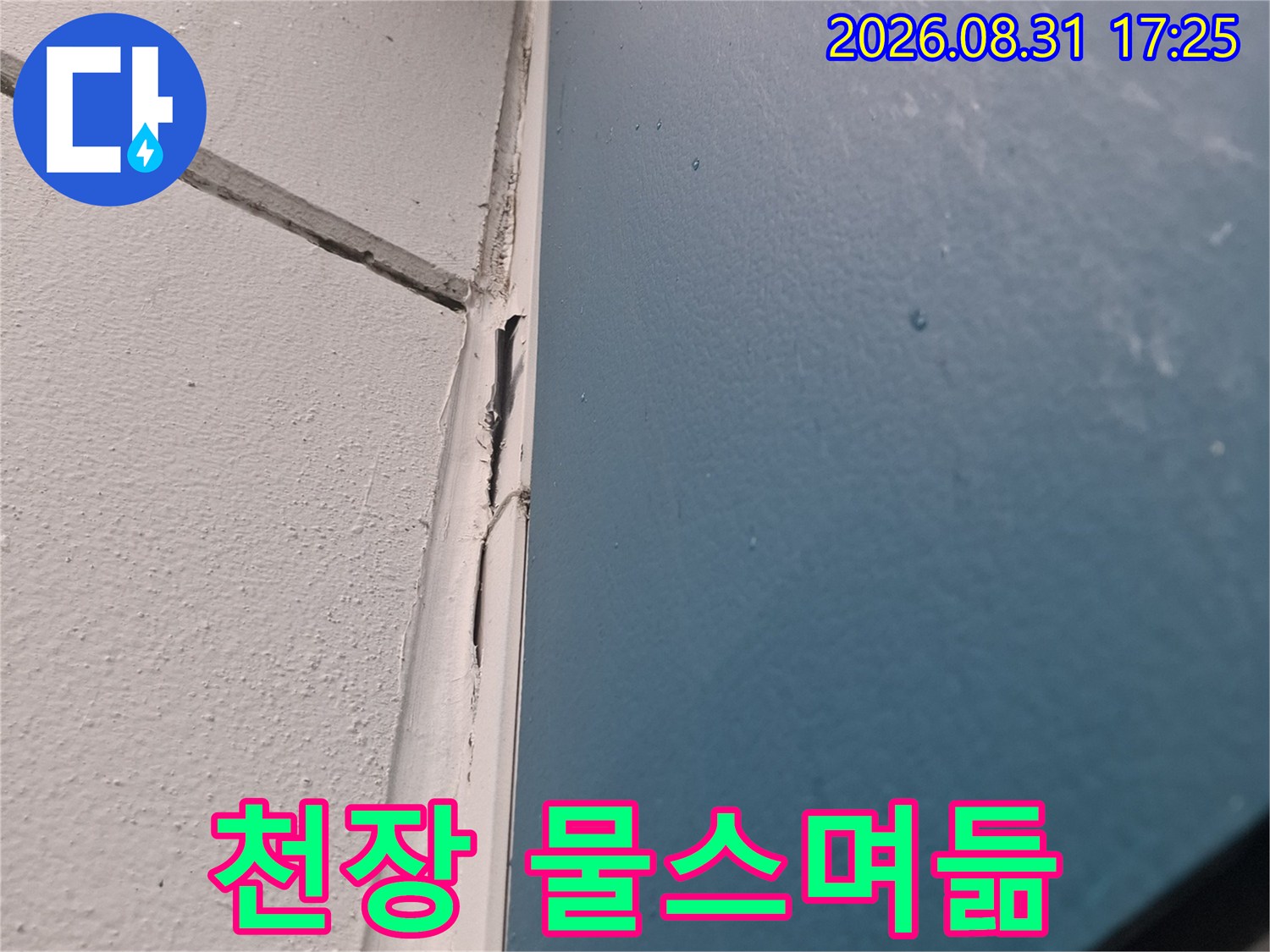천장과 벽면 경계에 나타난 젖은 얼룩 부위