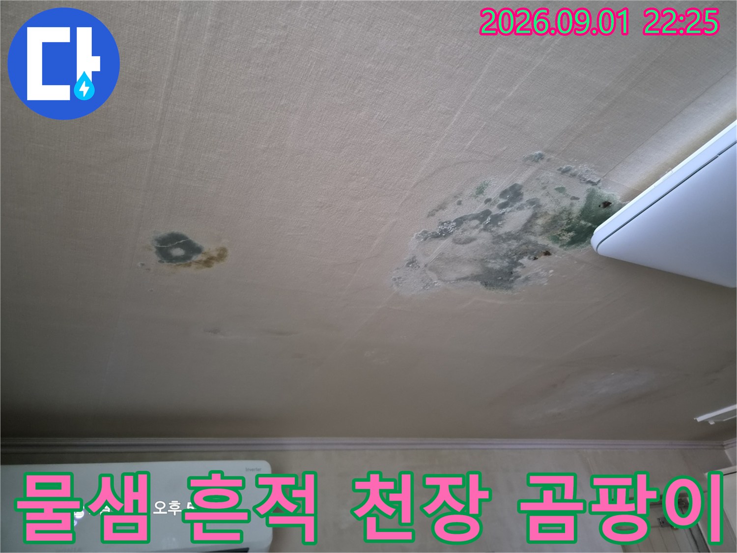 천장 벽지 곳곳에 퍼진 물 얼룩과 곰팡이 번식 현황