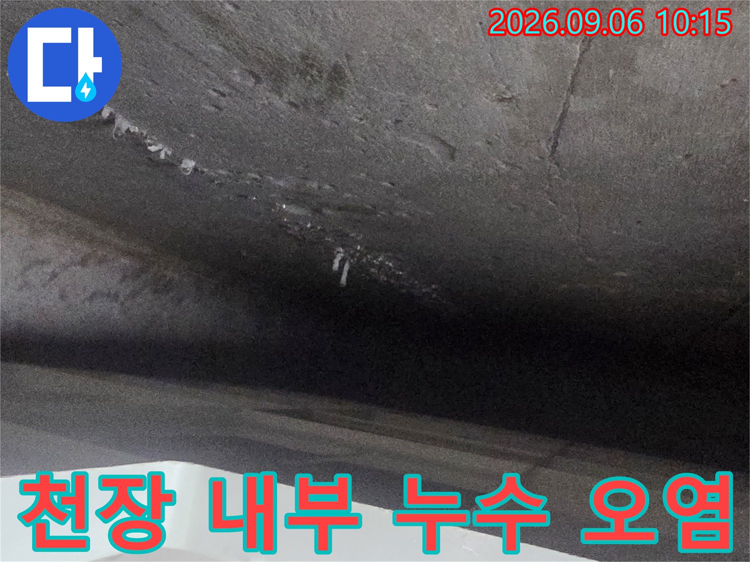 습기로 인해 변색된 화장실 천장 벽면 모습