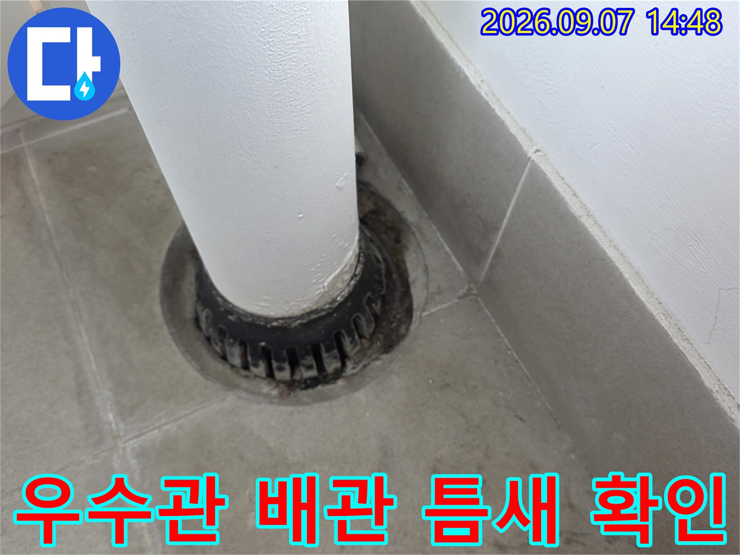 분당 수내동 현장-배관 주변의 방수층 파손 부위 상세 촬영