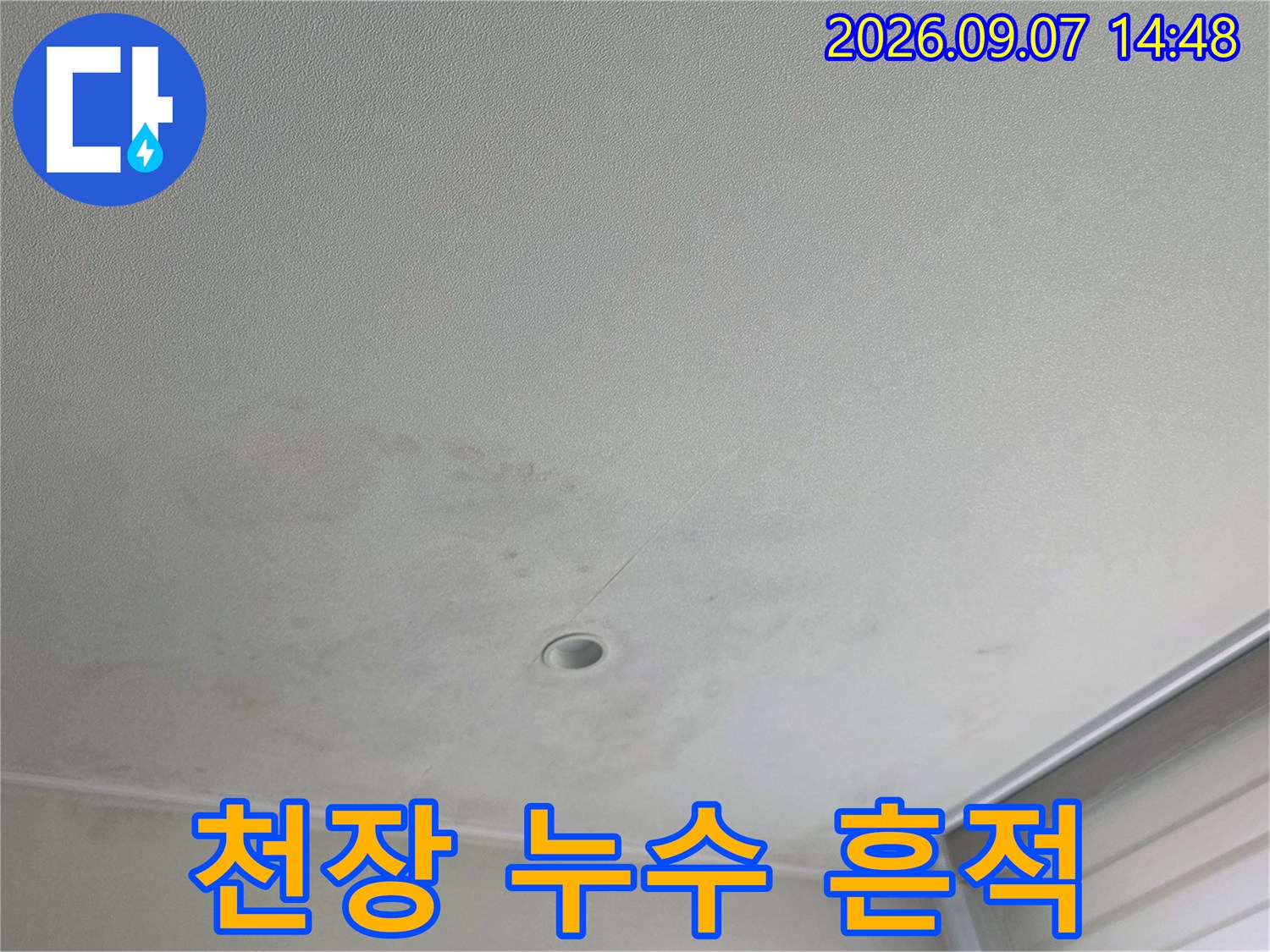 우수관 배관 주변으로 번진 천장 누수 얼룩