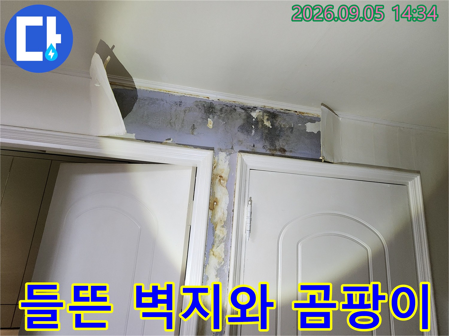 물기에 젖어 들떠있는 문틀 상단 벽지와 곰팡이 발생 부위입니다.