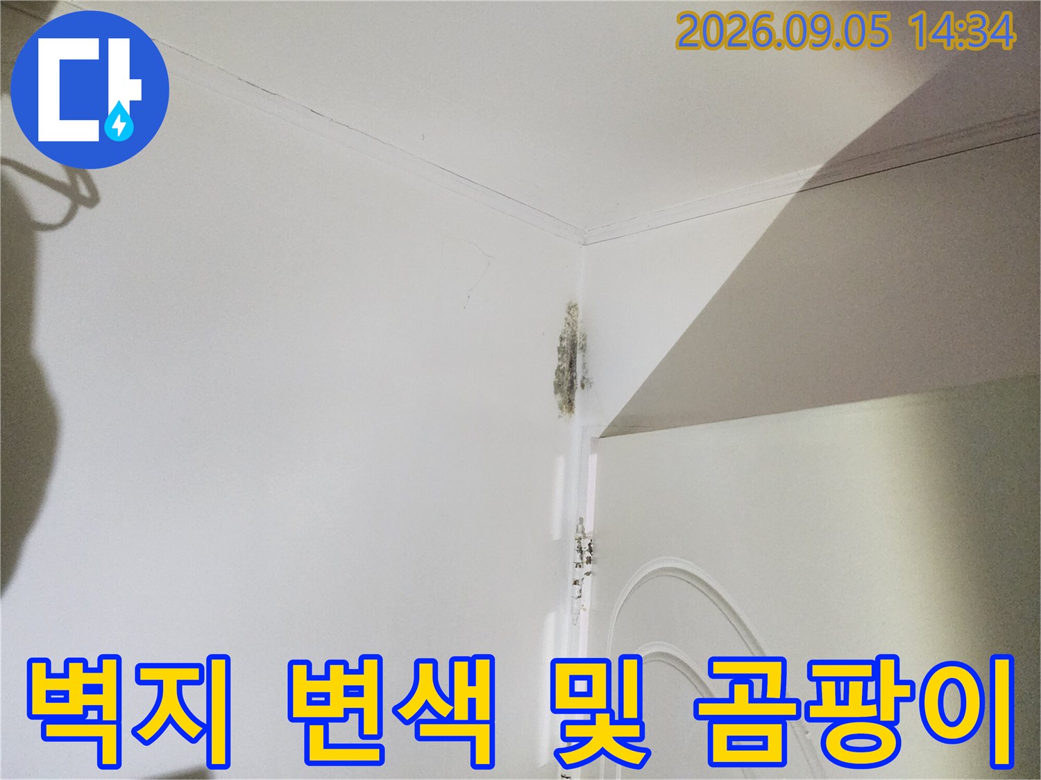 신사동 현장 사진-문틀 상단 벽지의 젖음과 곰팡이 발생 상태
