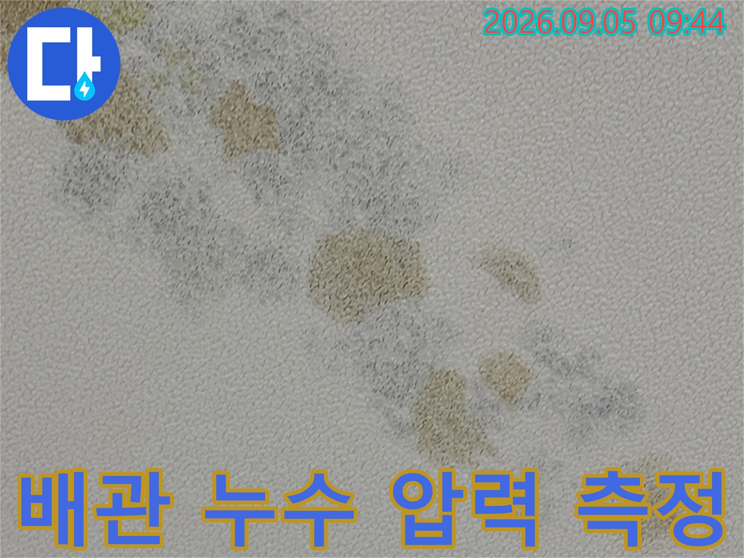 배관의 기밀 상태를 정밀하게 측정하기 위해 설치된 압력계와 배관 연결 부위의 모습입니다.