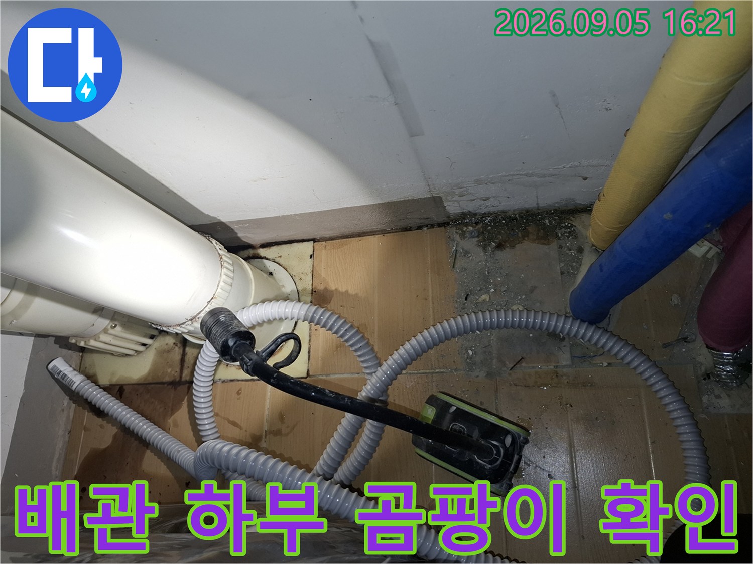 상도동 현장-하부 배관 주변에 발생한 곰팡이와 습기 흔적을 촬영하였습니다.