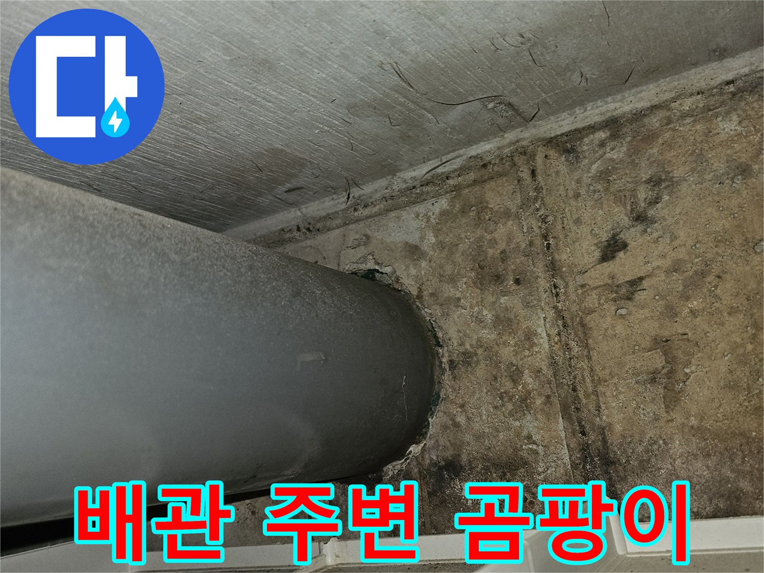 배관-연결부-주위-콘크리트-습기-침투