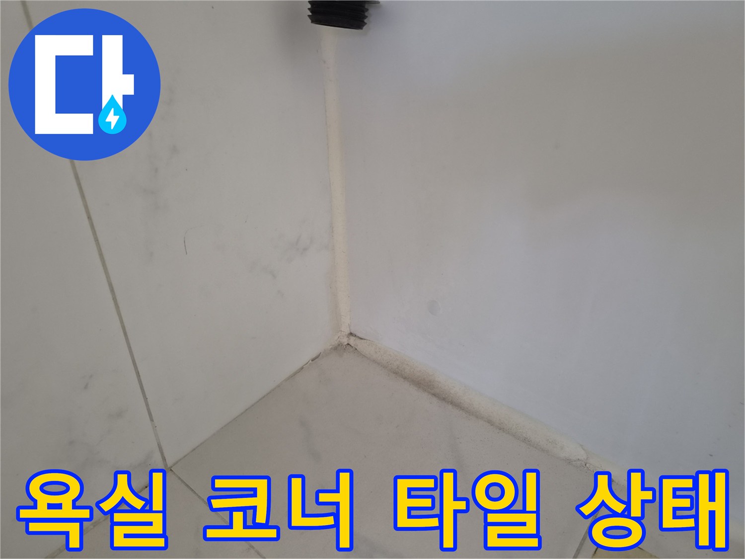 두정동 현장-타일 접합부 및 배부 입구 근처 점검 모습