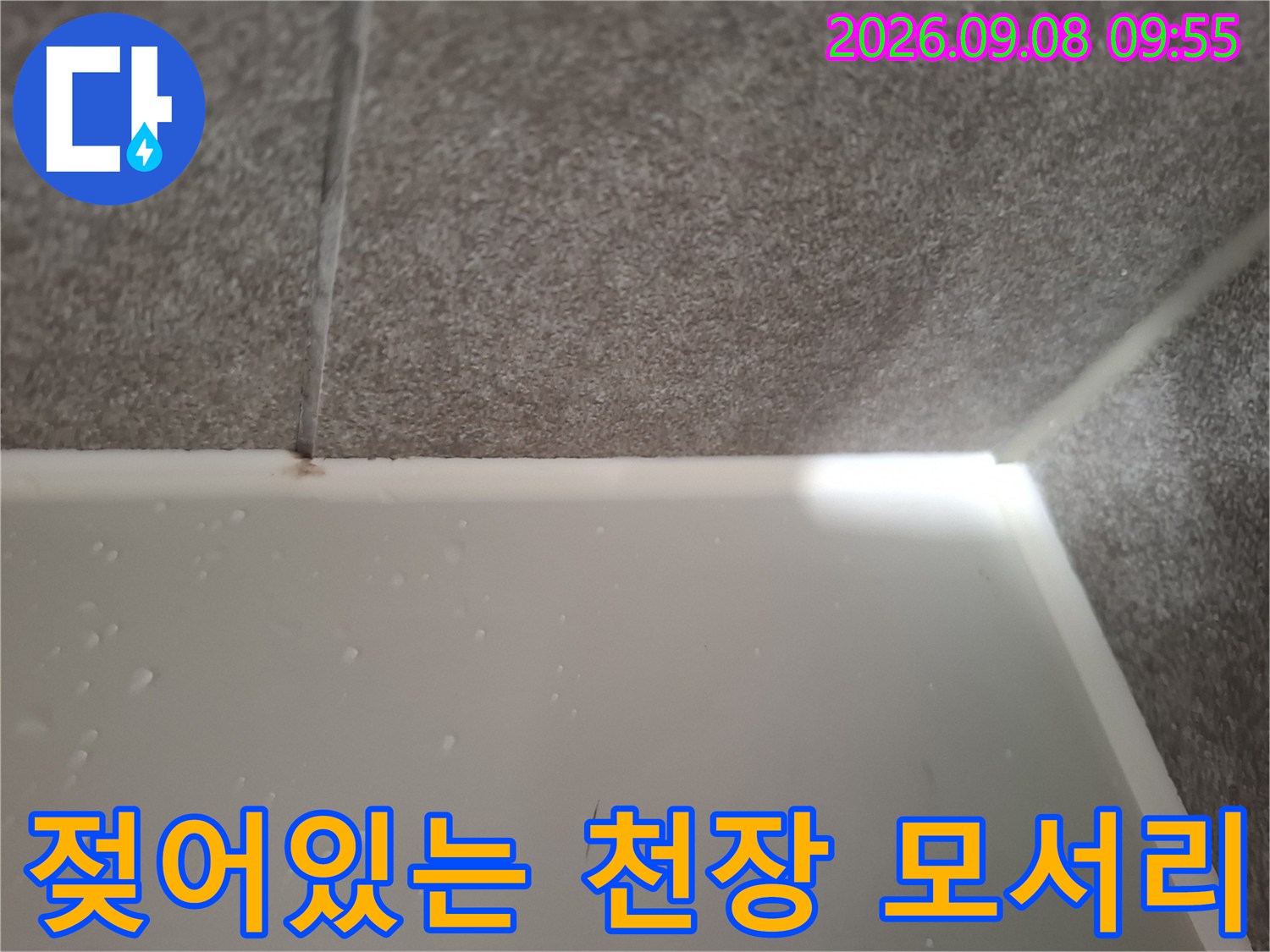 물기가 스며든 천장-벽면 경계 부위 상세 모습