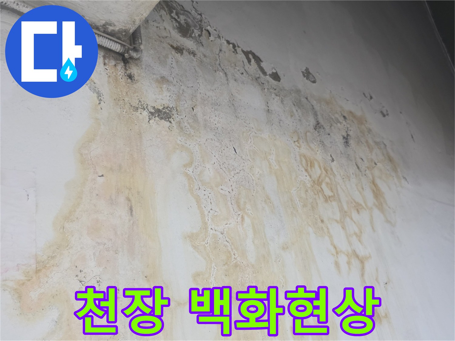 콘크리트 벽면을 따라 광범위하게 퍼진 백화 및 누수 흔적