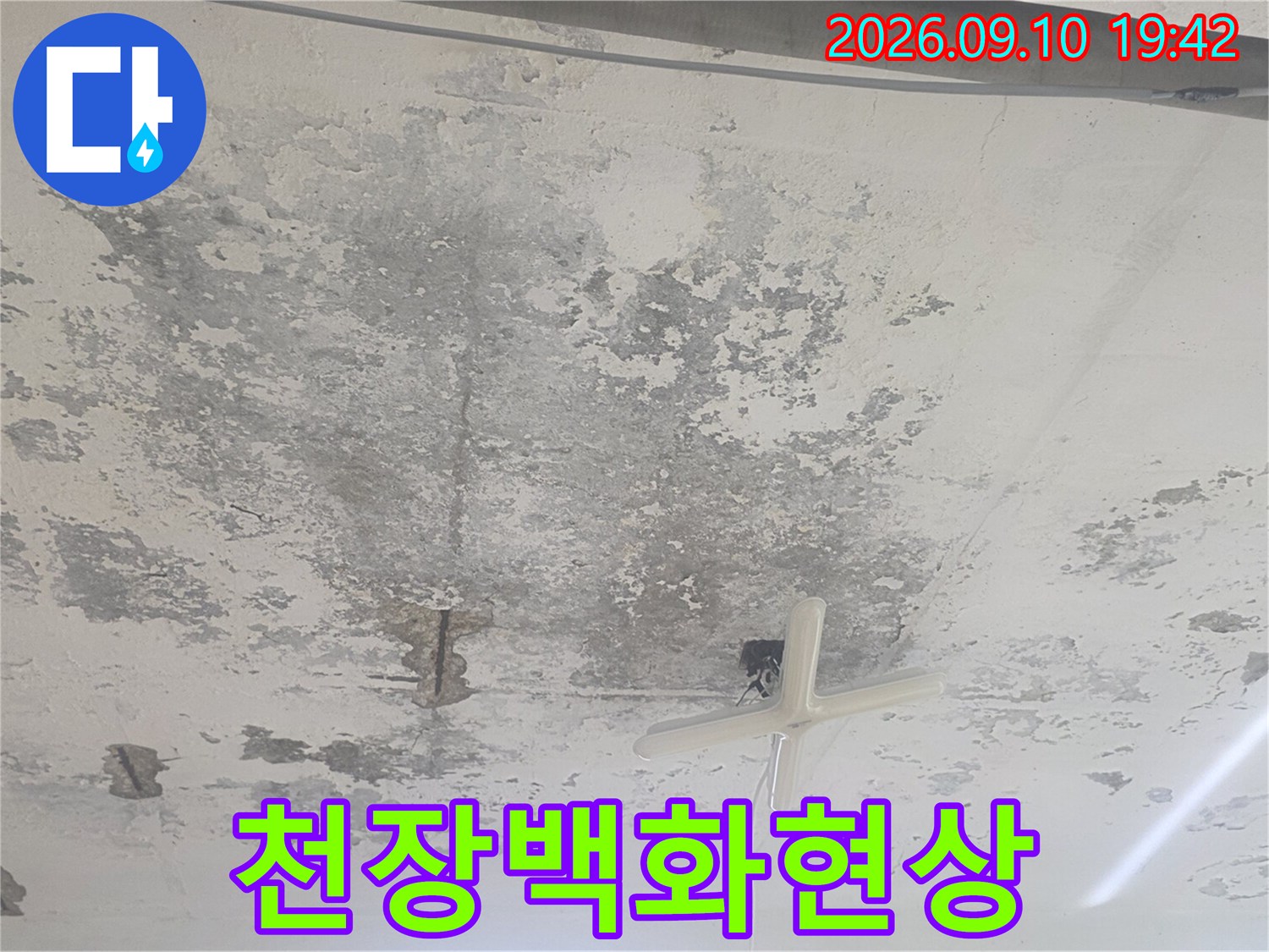 콘크리트 천장에 발생한 대규모 백화 현상과 습기 자국