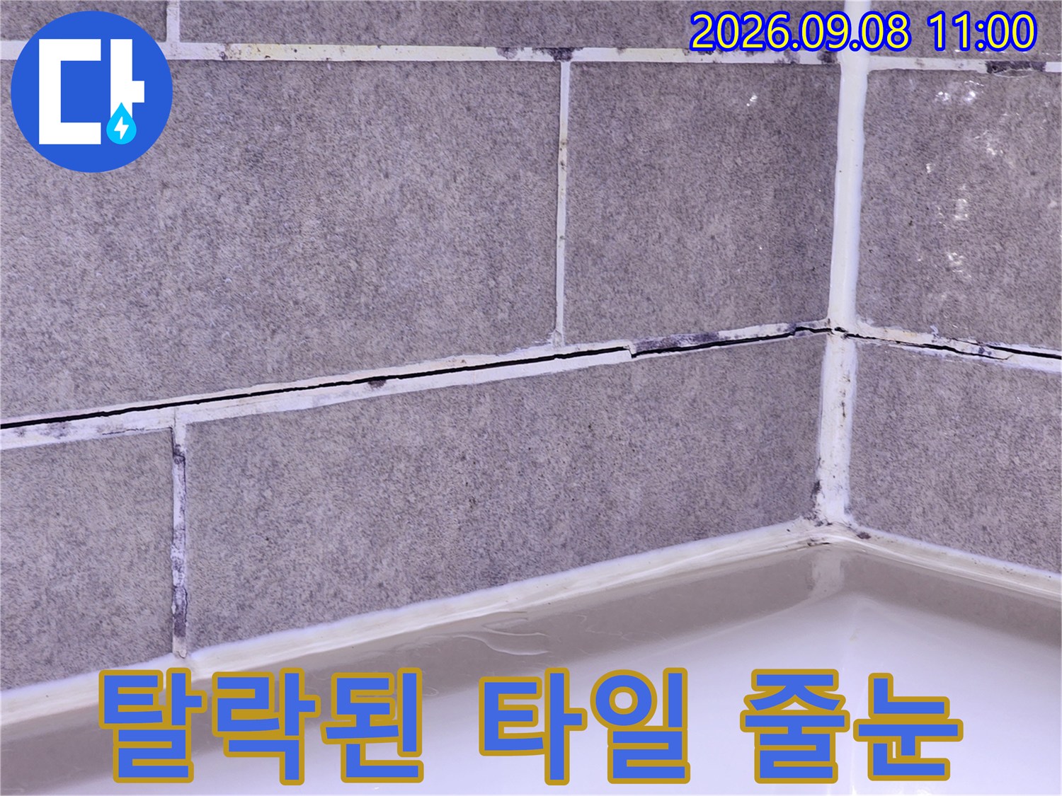 안양 동안구 현장의 탈락된 욕실 타일 줄눈과 오염된 메지 상태를 보여줍니다