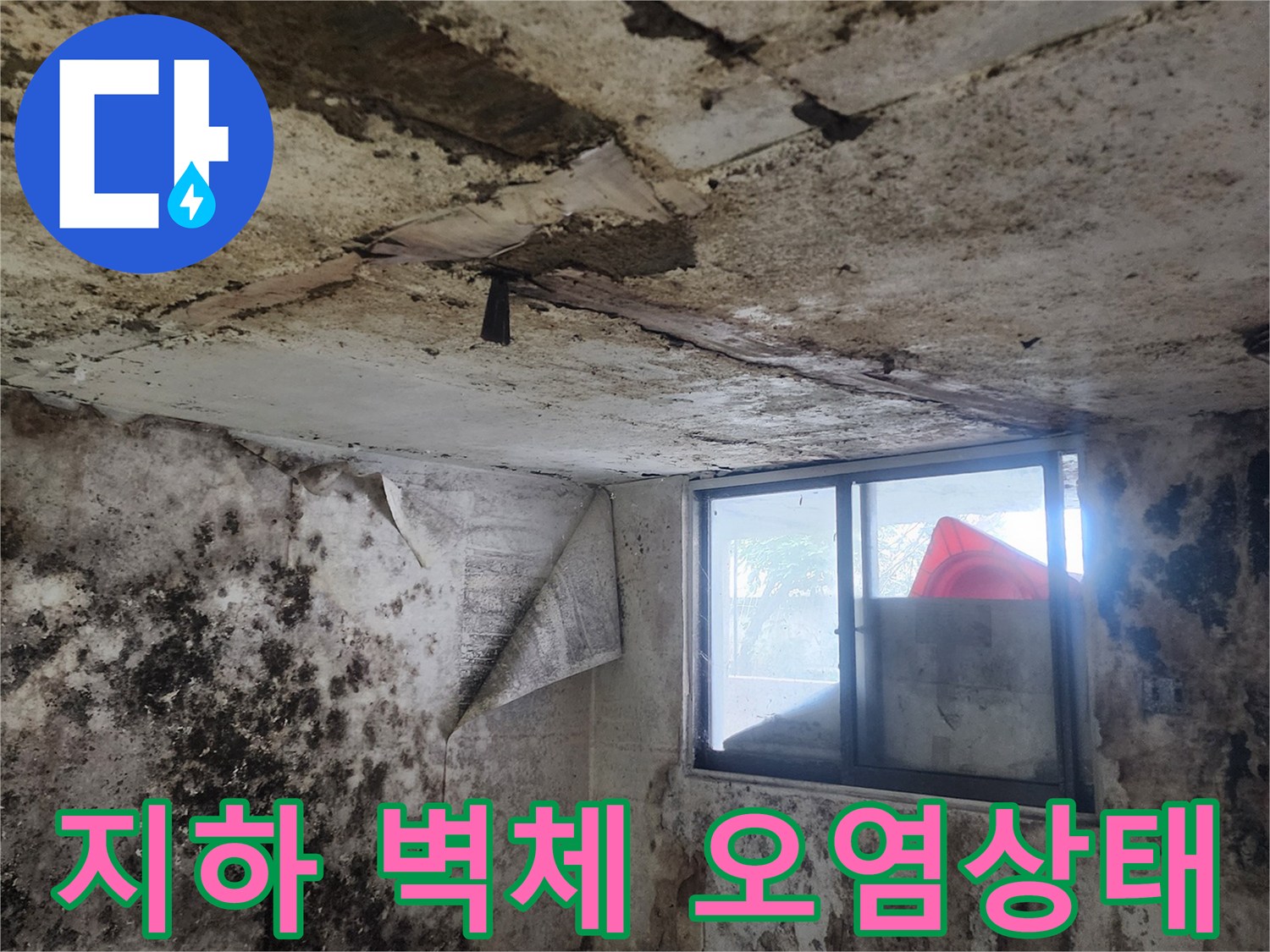 누수로 인해 검은 곰팡이가 번진 지하실 내부 벽면