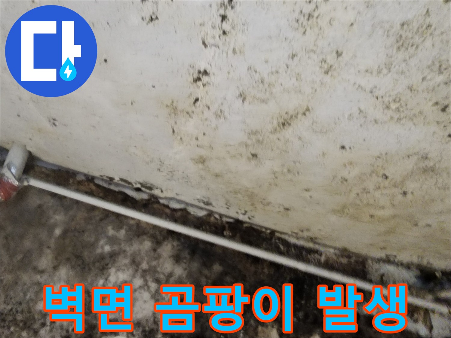 축축하게 젖은 지하실 벽 - 넓게 퍼진 곰팡이와 습기 흔적