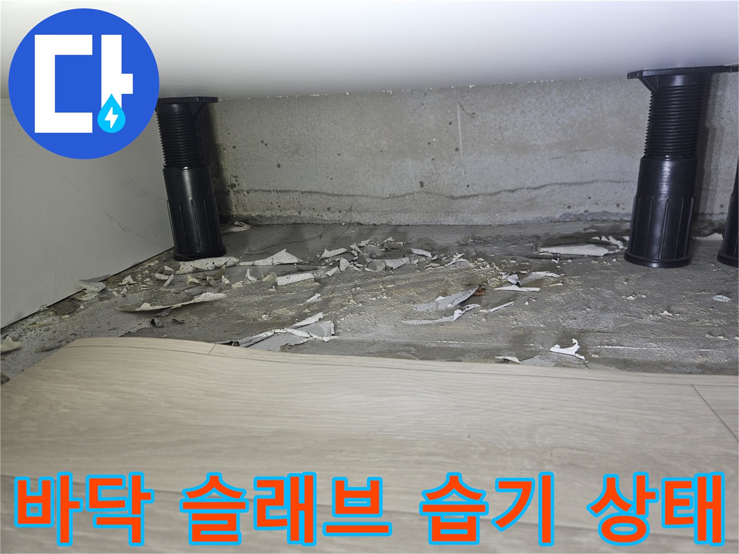 장판을 걷어낸 후 드러난 콘크리트 바닥의 변색과 습기 흔적
