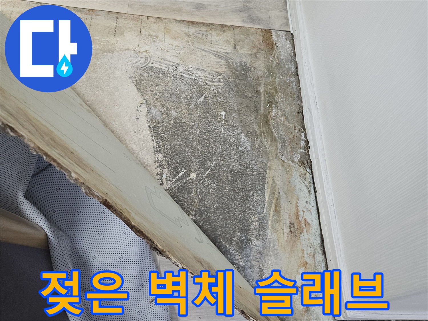 침수 피해로 인한-벽면 하단부-변색 현상