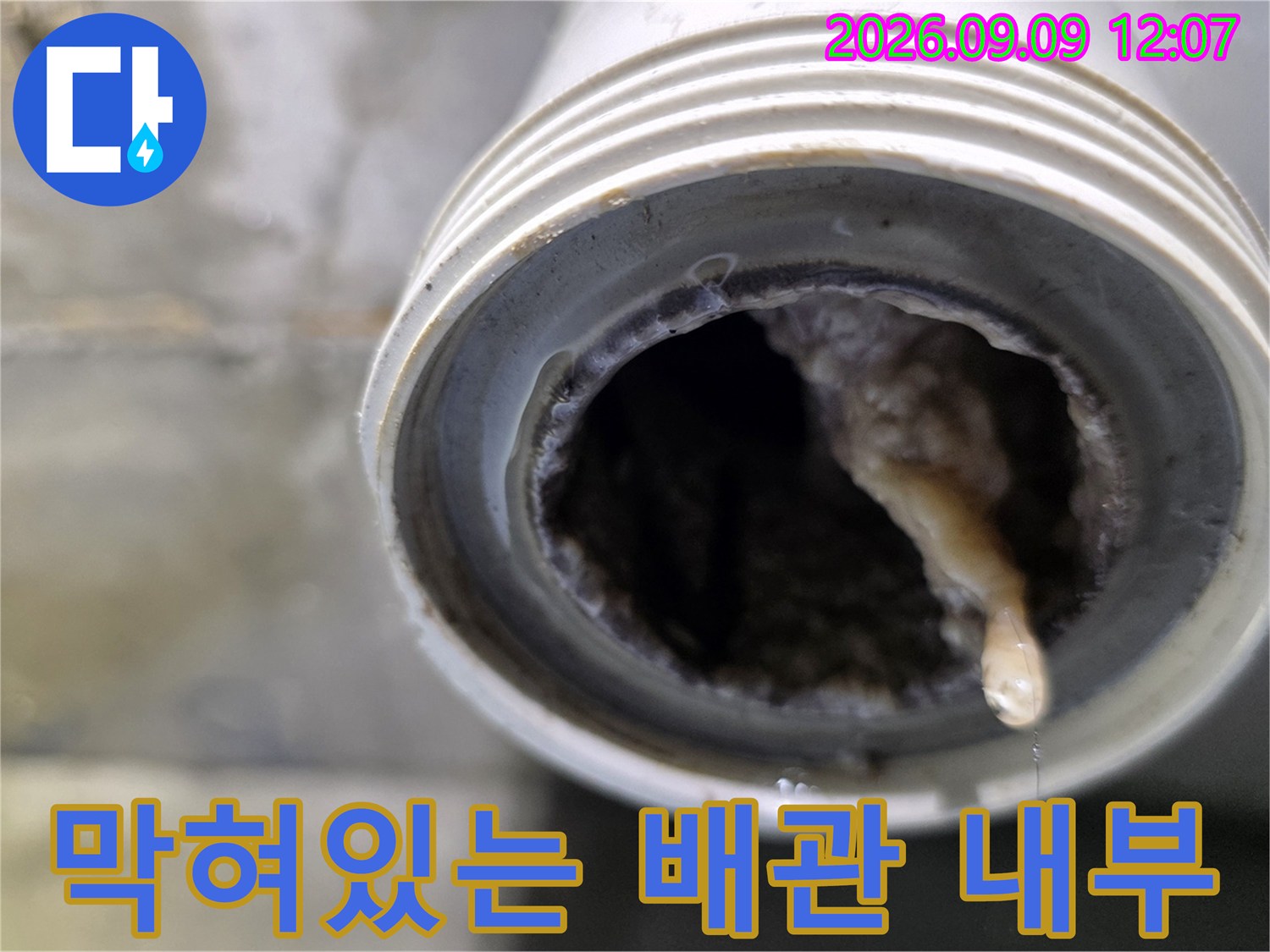 배관 입구에 쌓인-오염된 슬러지 덩어리 모습