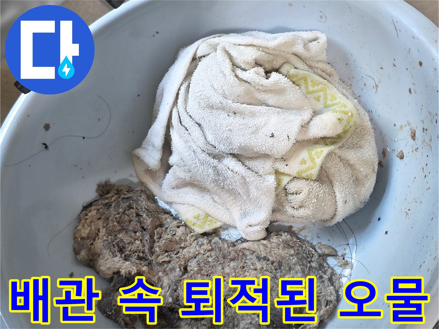 배수관에서 제거한-머리카락과 오염 물질
