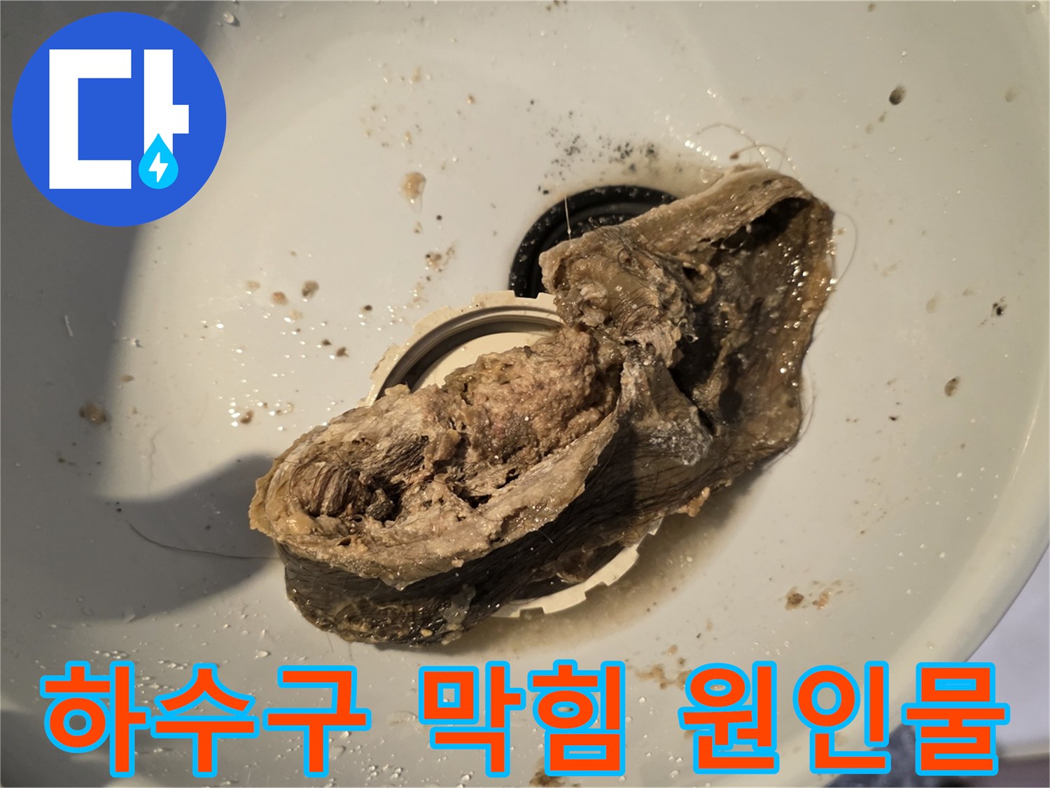 배수구-입구에서-발견된-머리카락-오물-덩어리