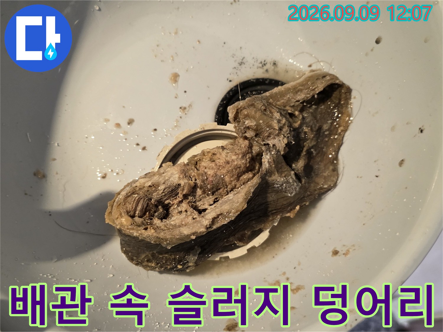 욕실 배관 내부에서 발견된 거대한 이물질과 머리카락 덩어리