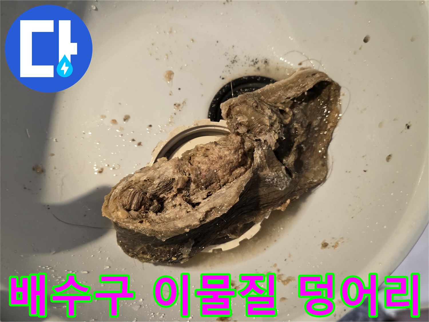 욕실-배수구에서-추출된-머리카락과-오물-덩어리
