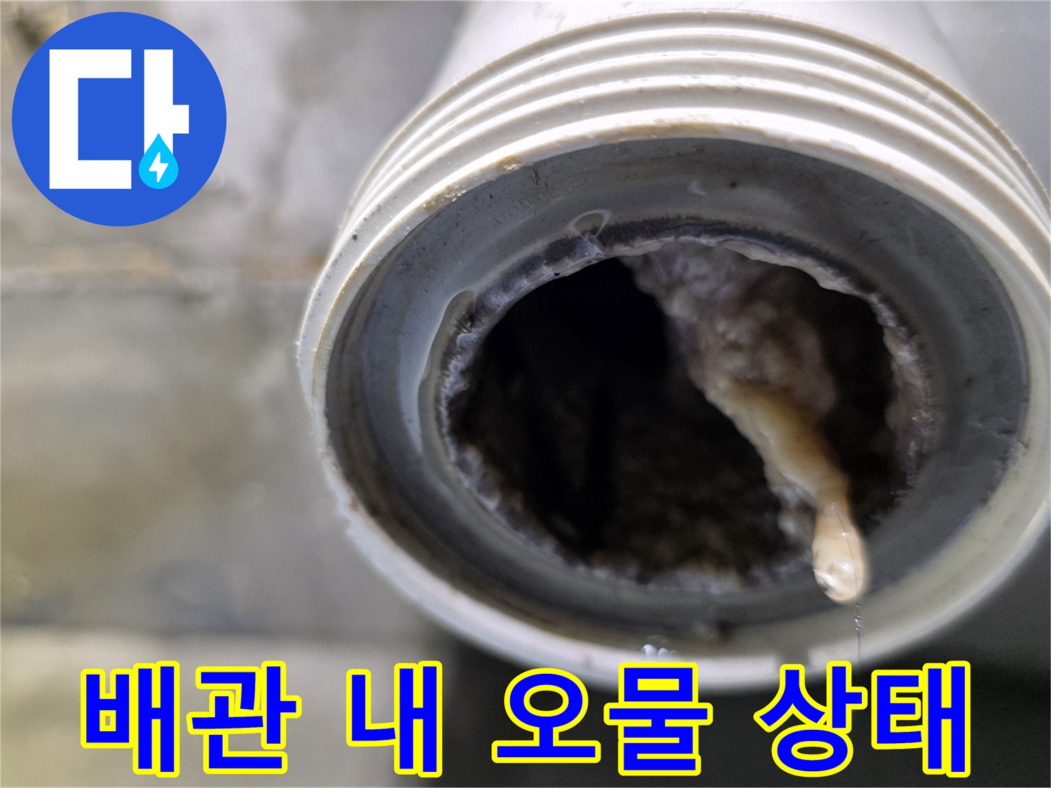 하수구 배관 입구에 퇴적된 머리카락과 오염물