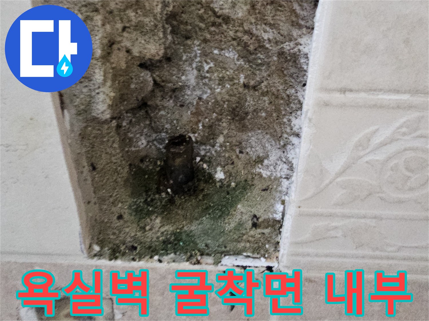 양주시 장흥면-욕실 타일 내부 배관 부식 상태
