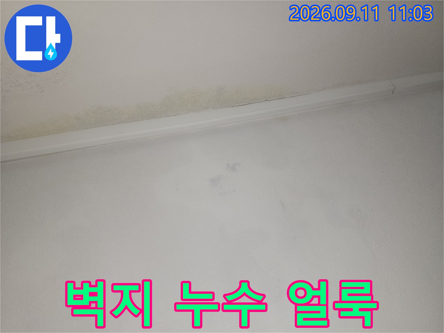 도화동 아파트 천장-몰딩 부근에 나타난 젖은 흔적과 변색
