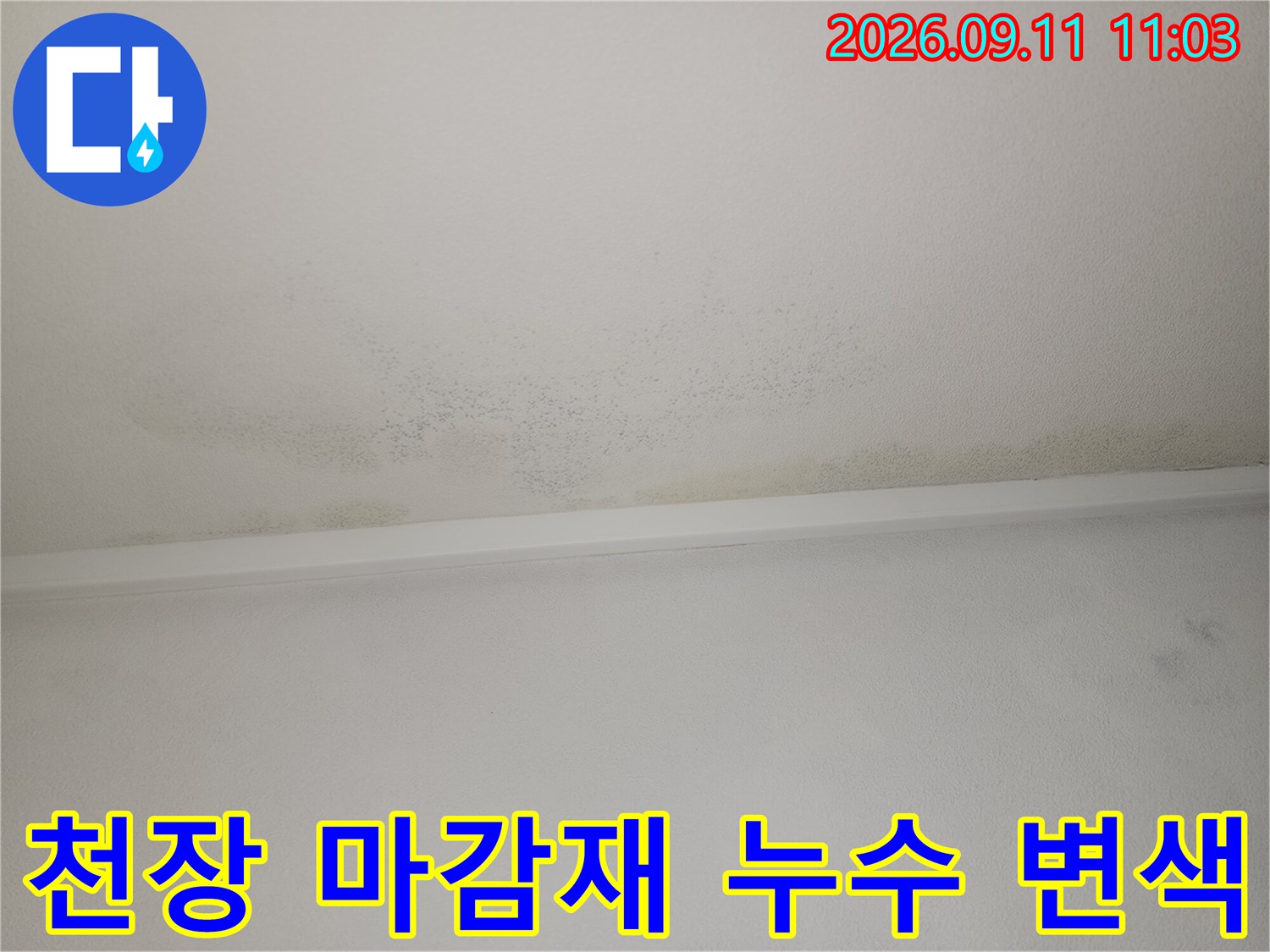 도화동 현장 안방 화장실 천장의 넓은 누수 흔적 부위