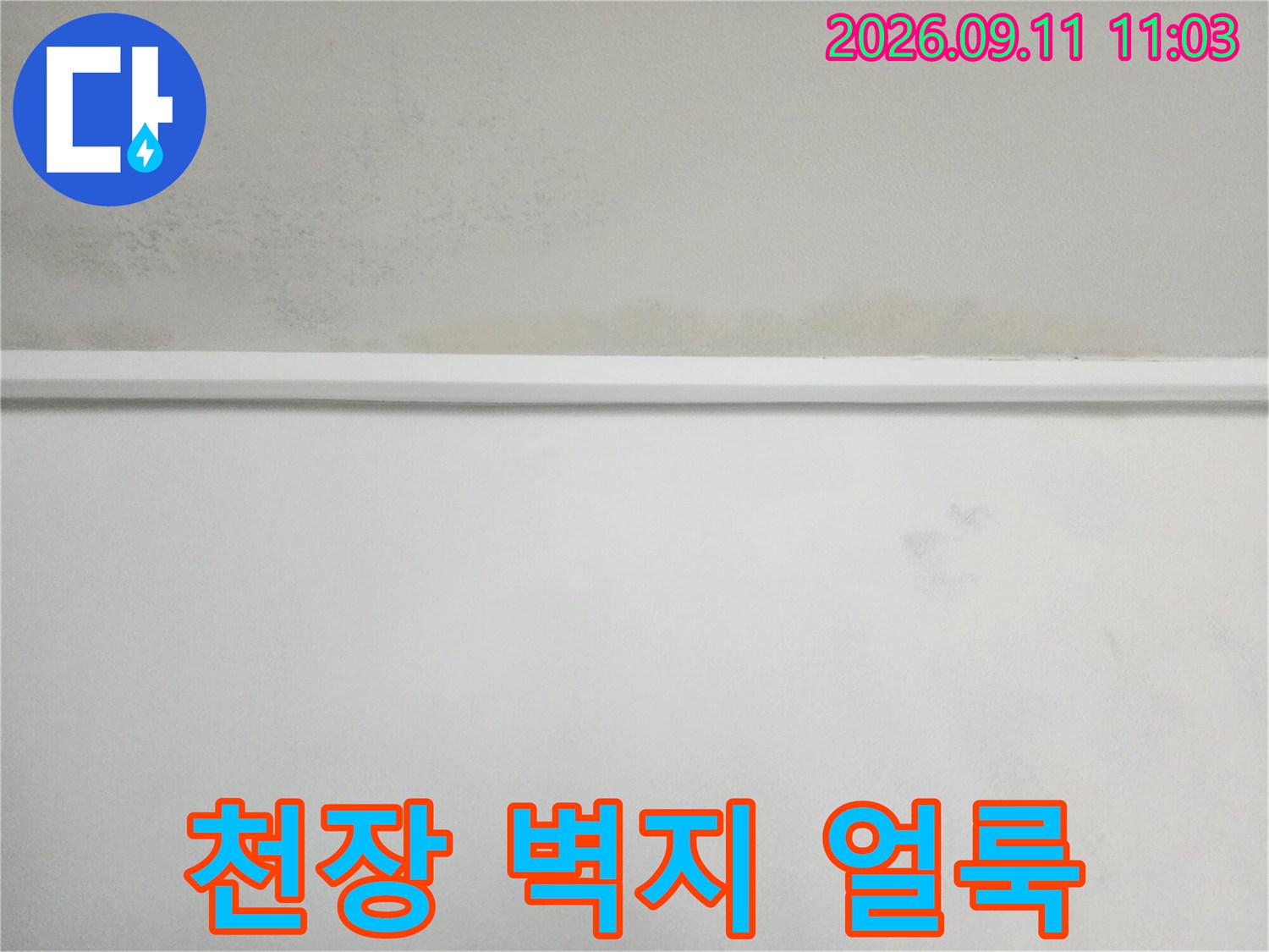마포구 도화동 아파트 천장 벽지 변색 및 누수 흔적 상태