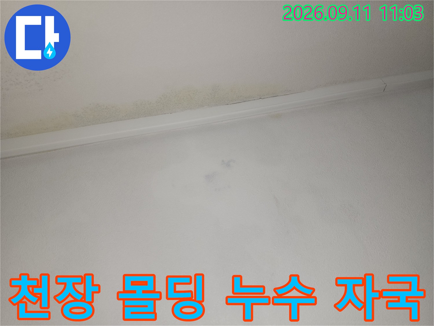 천장과 몰딩 경계 부위-물자국으로 인한 벽지 변색 현상