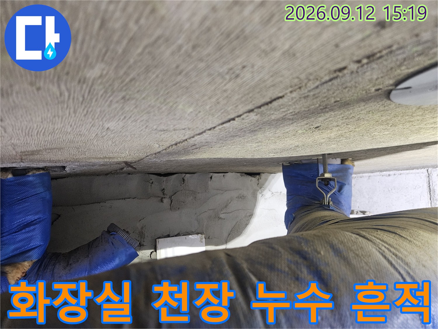 고양시 일산동구 장항동-화장실 천장에 나타난 누수 흔적과 젖은 상태