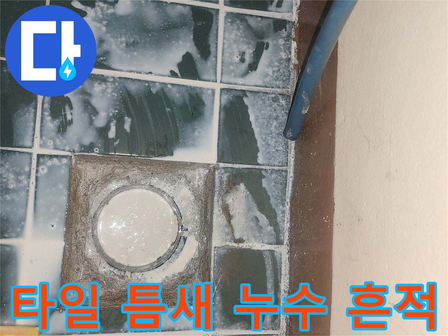 축축하게 젖은 세탁실 타일과 배수구 주변의 오염 상태