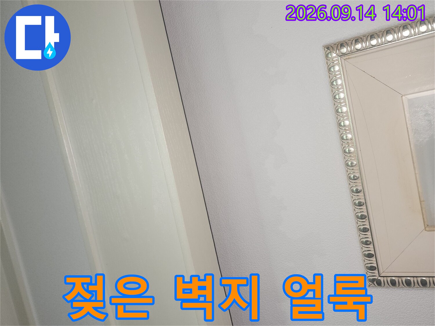 천장 몰딩 부근의 젖은 흔적-누수로 인해 변색된 벽지 상태