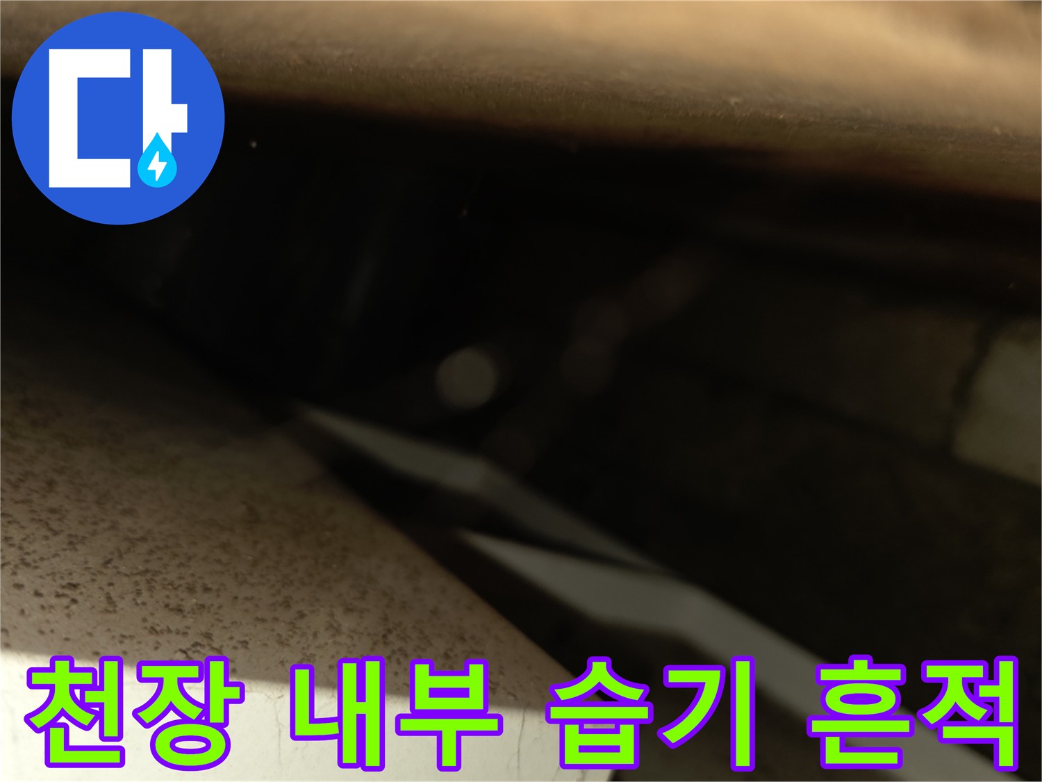 서초구 양재동 현장-천장 텍스 사이로 보이는 습한 상태의 배관 주변부