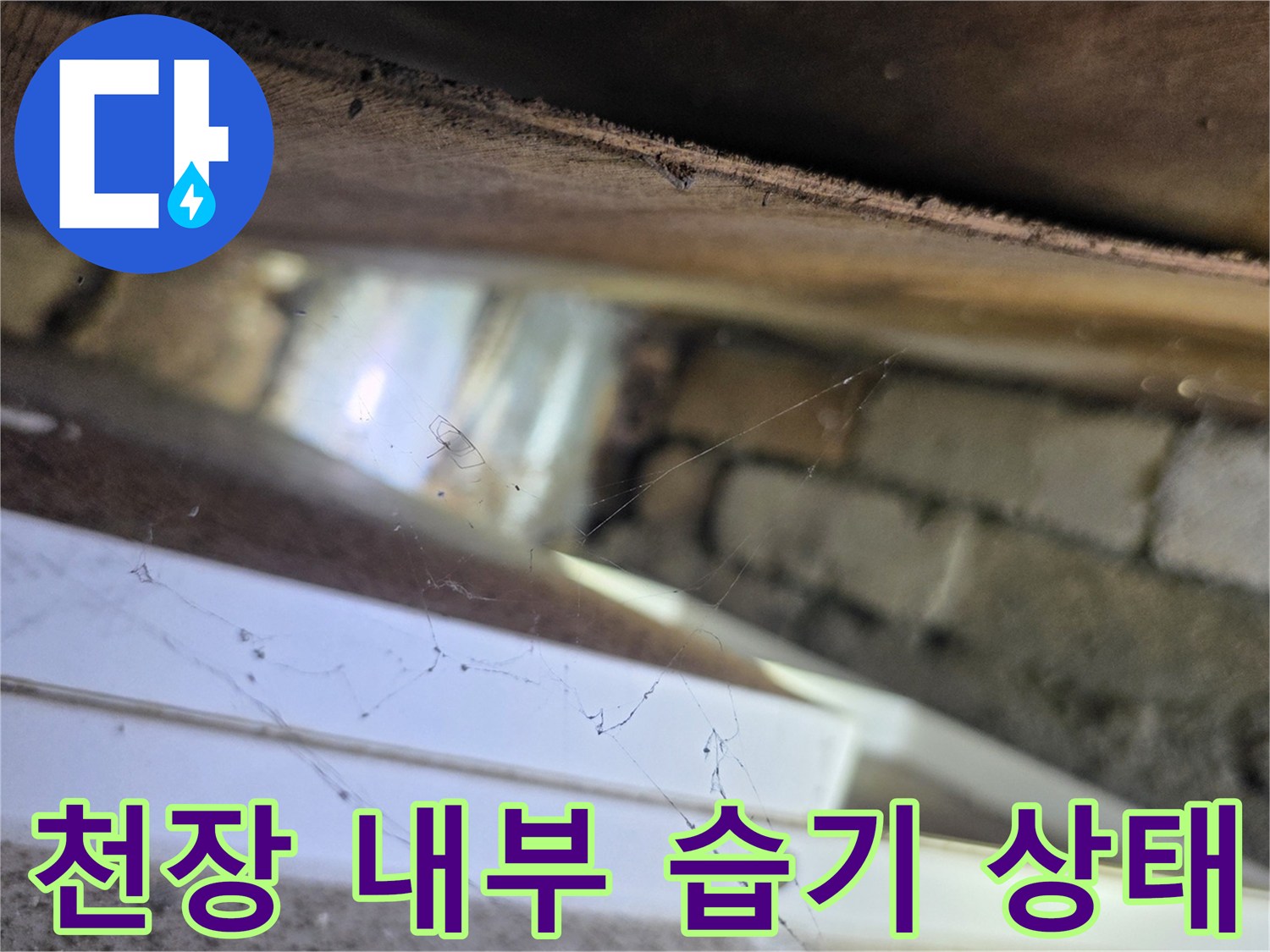천장 텍스 안쪽 배관 주변의 습기와 물기 확인