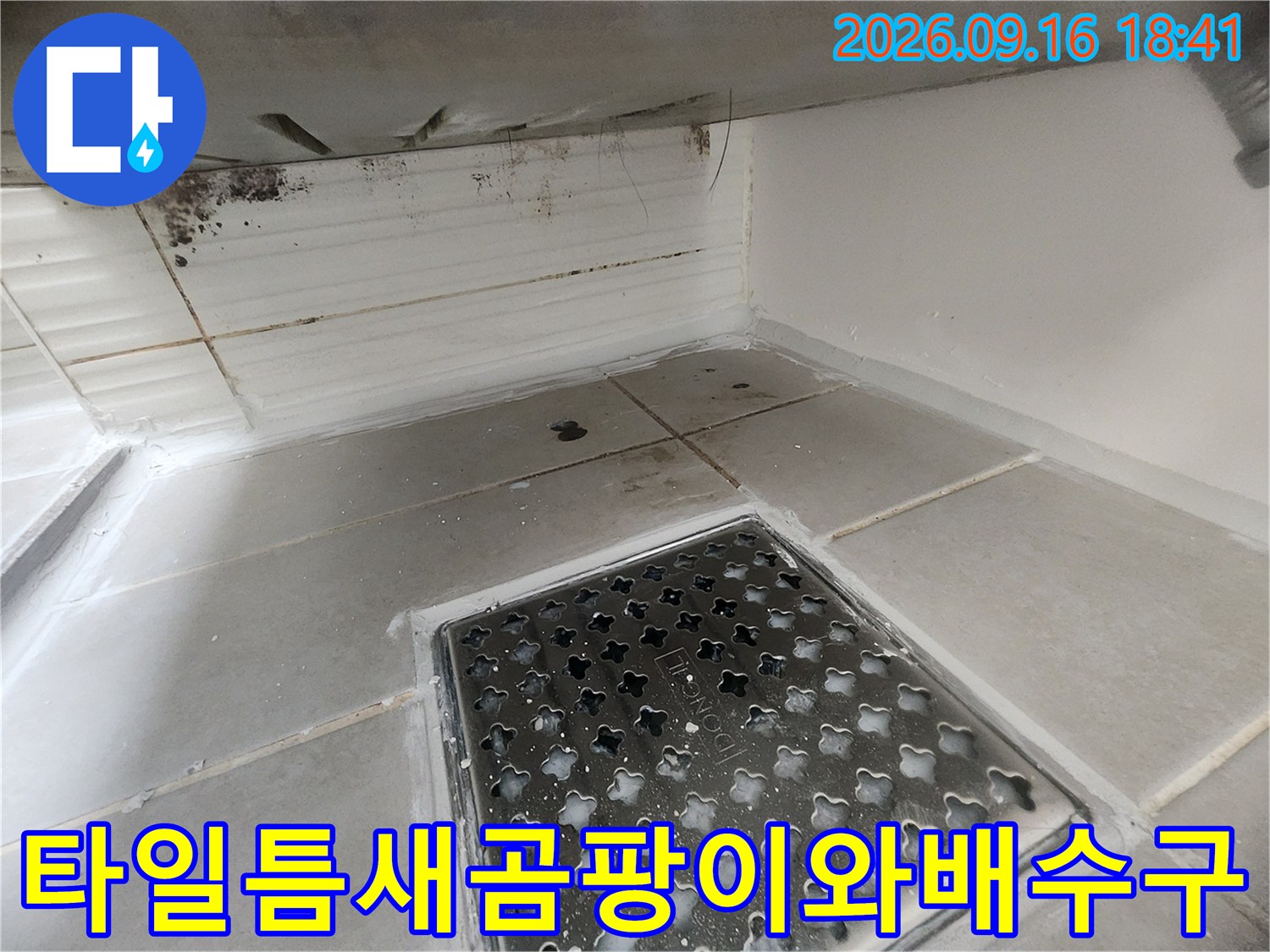 오염된 타일 줄눈과-배수구 주변의 누수 취약 부위